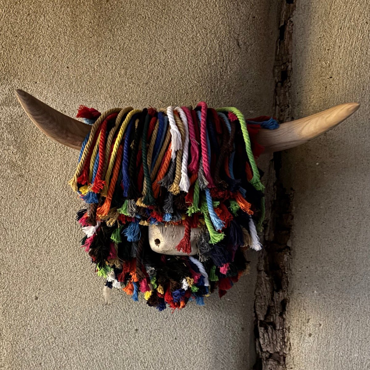 Ailsa Medium (Cotton Multi)