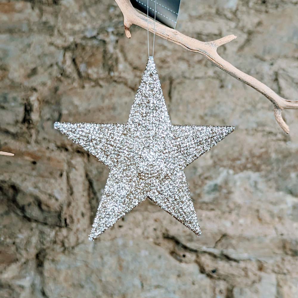 Pale Silver Gold Glitter 5 Point Star