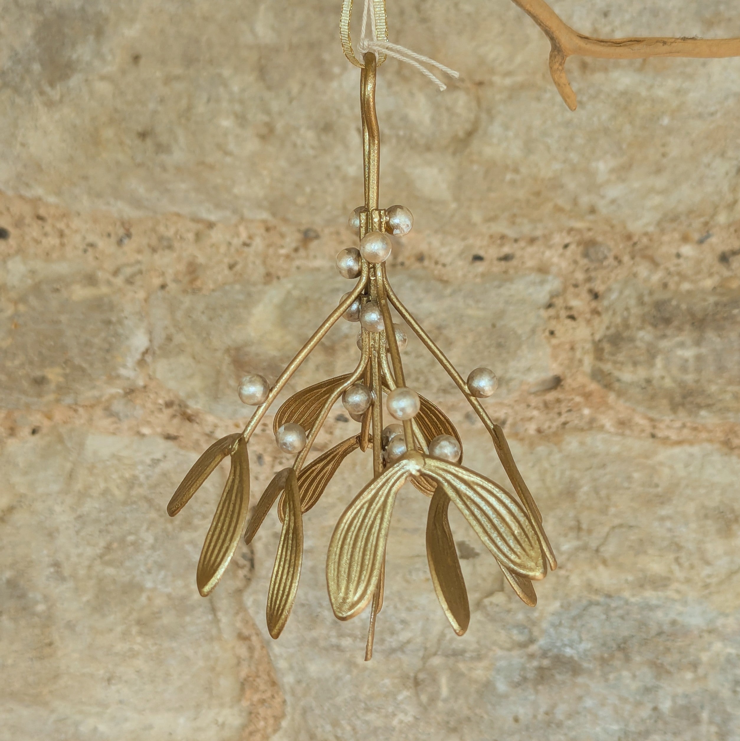 Hanging Gold Mistletoe