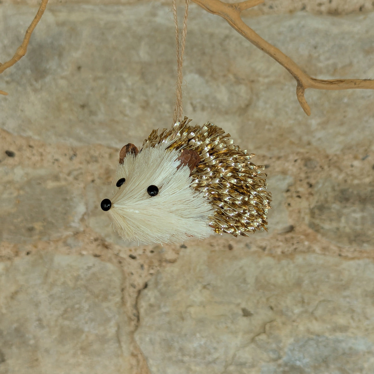 Gold Bristle Hedgehog,