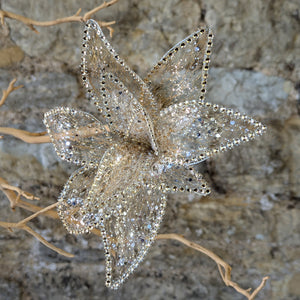 Sheer Gold Fabric Poinsettia Clip